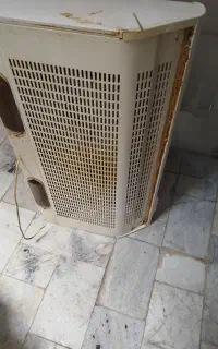 هود
