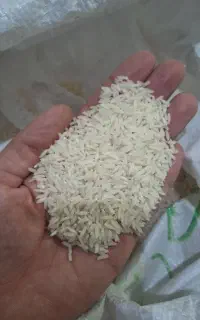 برنج