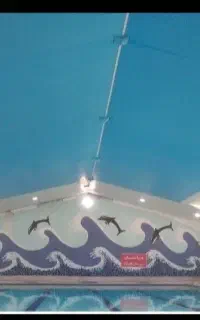 اموزش شنا مبتدی .حرفه ای وناجیگری