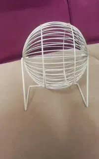 چرخ و فلک همستر