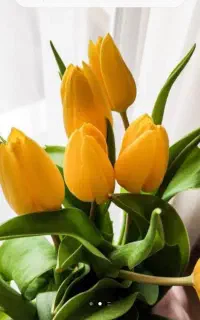 فروش گلاب