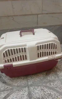 باکس سگ