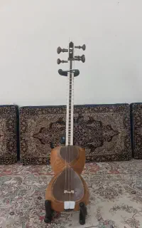 تار سنتی حرفه ای