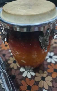 مینی تومبا