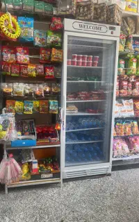 فریز ر ایستاده
