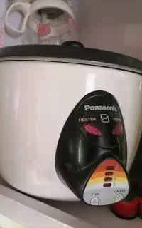 پلوپز پاناسونیک