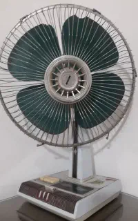 پنکه سالم