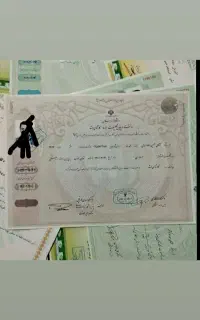 مدرک تحصیلی دیپلم تا دکترا