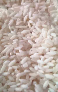برنج طارم هاشمی ریز قلم