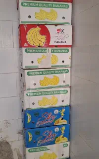 کارتن‌ موز اساس کشی