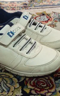 کفش کتونی