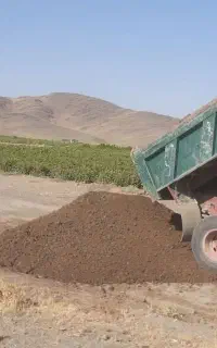 کود درجه یک خشک خشک، گاوداری صنعتی