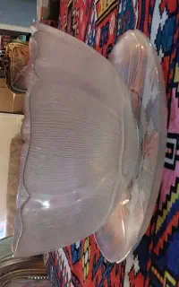 چینی قدیمی