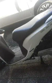 باسل ۱۴۰۱