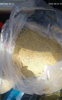 جو امسال پاک و تمیز