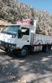حمل بار  کددامپزشکی