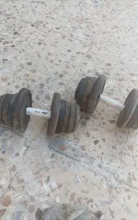 دمبل