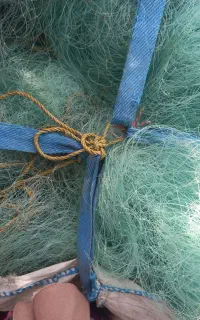 تور خاویار