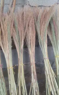 ده عدد جارو