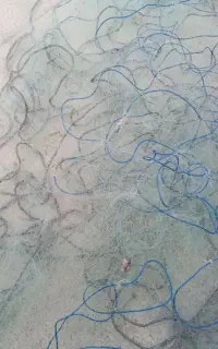 تور