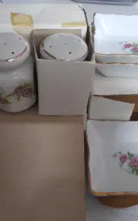 ظروف چینی