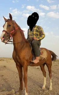 اسب ترکمن
