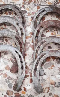 نعل اسب