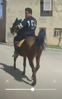 مادیان ۵سال آبستن