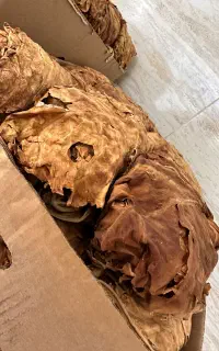 اصل بنیاد