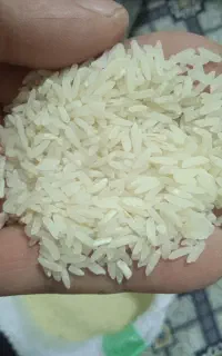 هاشمی پر محصول