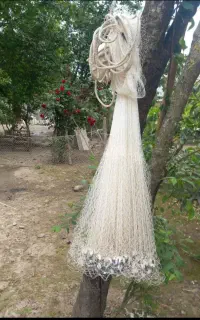 تور ماهیگیری سالیگ