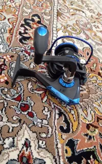 چرخ ماهی گیری