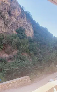 اجاره ویلا سوئیت واپارتمان زیارت