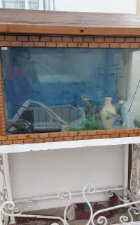 آکواریوم وکلبه ی چوبی زیبا