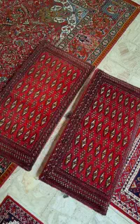 دو عدد پشتی