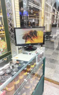 کامپیوتر