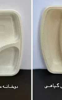 ظروف گیاهی