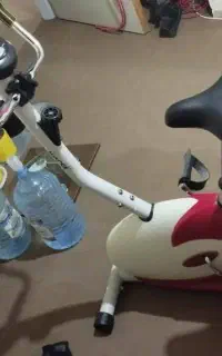 دوچرخه ثابت حرفه ای