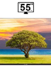تلویزیون ـ یخچال ـ ساید ـ جاروبرقی ـلباسشویی