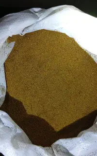 بذریونجه