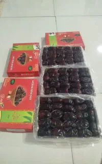 خرما