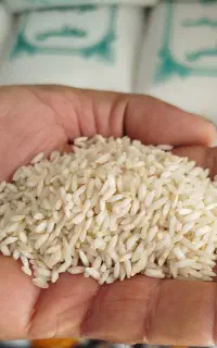 برنج عنبر بوی عطری درجه یک