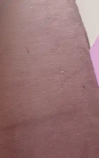 موکت تمیز وسالم
