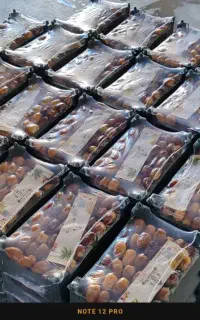 رطب درجه یک خشت .