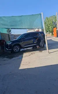 تیگو