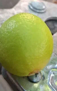 لیمو ترش سبز آبدار