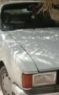 حمل بارباوانت