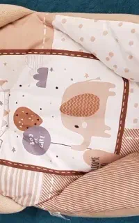تشک گارددار