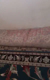 فرش سالم زمینه قرمز