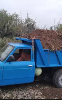 بورس شن وماسه